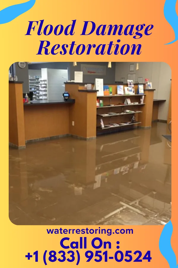 Flood Damage Restoration in Highland Beach, FL