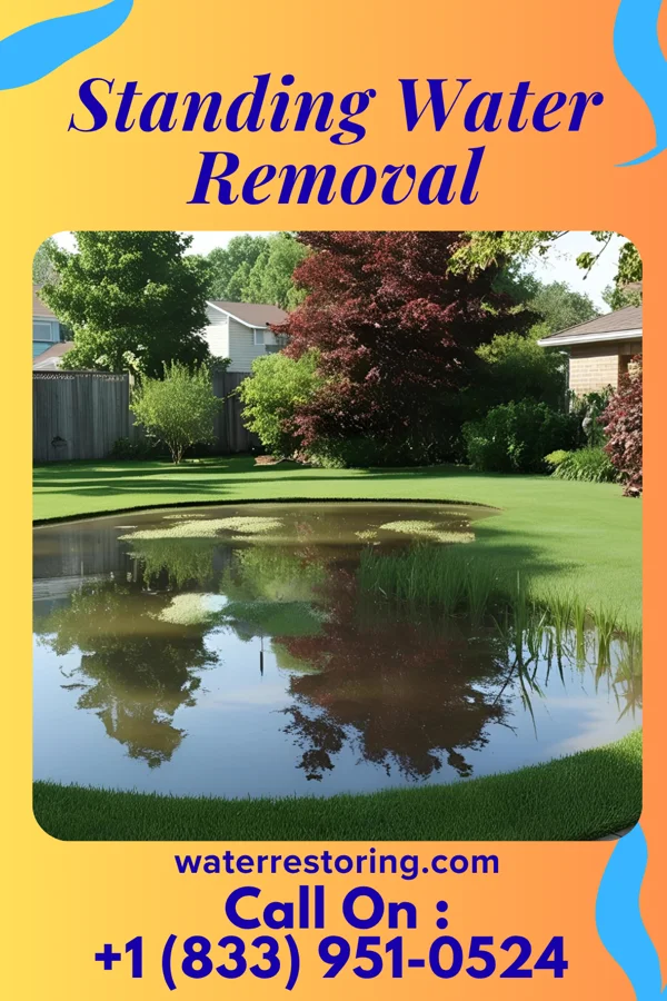 Standing Water Removal in Highland Beach, FL